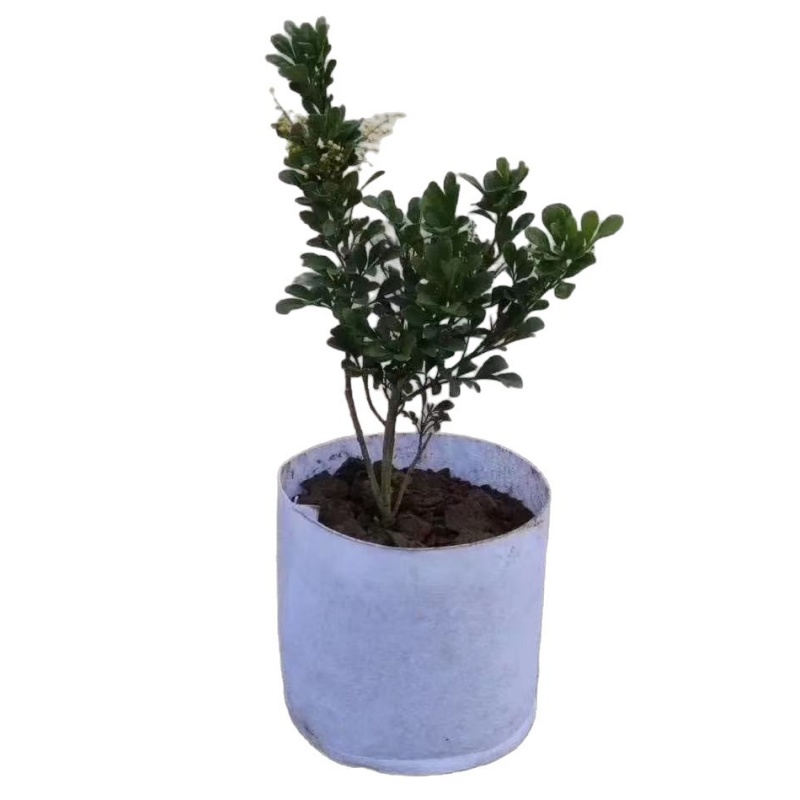 White non-woven planting bags without handles