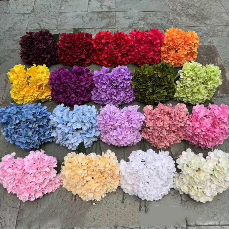 Hydrangea with 5 flower heads