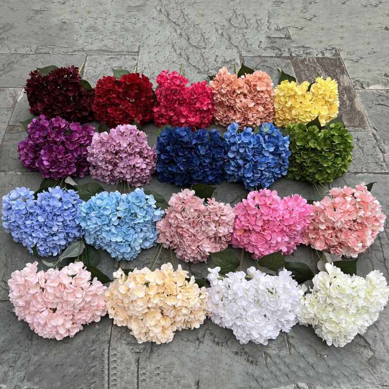 Hydrangea with 5 flower heads wholesale