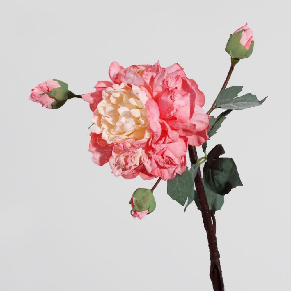 Simulated multi-colored peony branches