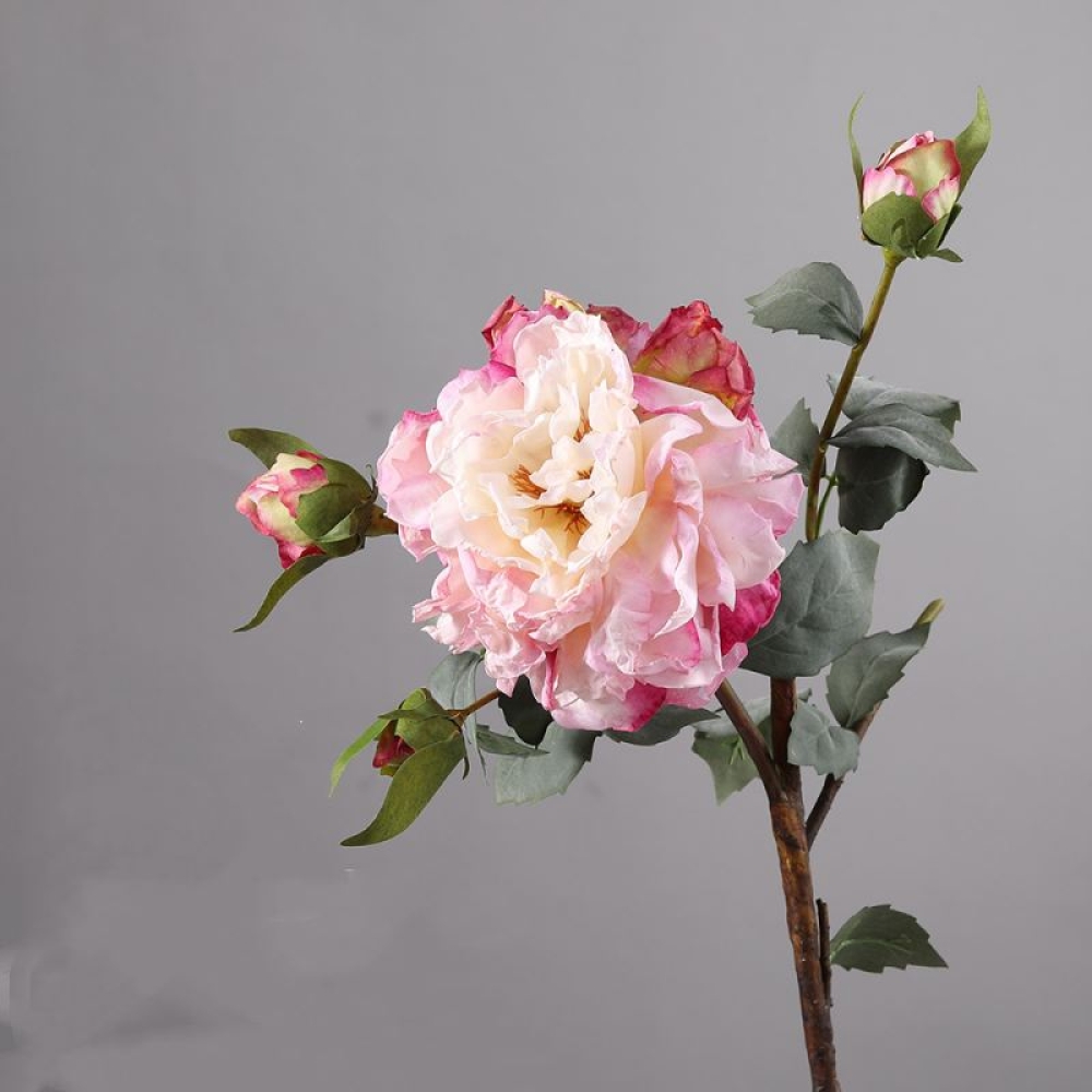 Simulated multi-colored peony branches