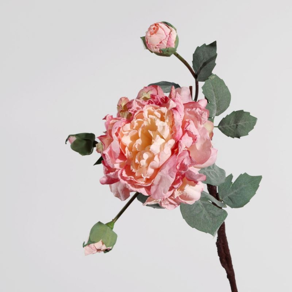 Simulated multi-colored peony branches