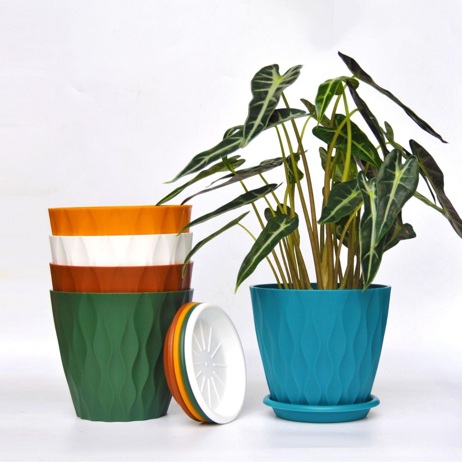 Plastic flower pot with saucer