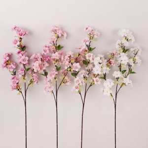 Cherry blossom with three branches