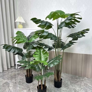 Simulated 60-180cm Monstera deliciosa