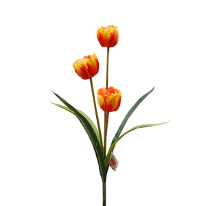 Three-headed silk tulip