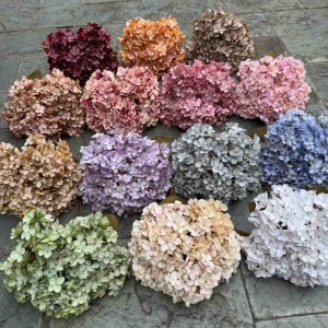 Silk hydrangea with 5 flower heads