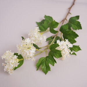 A snowball-shaped flower with four blossoms