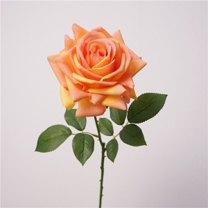 Wholesale moisturizing multi-colored roses