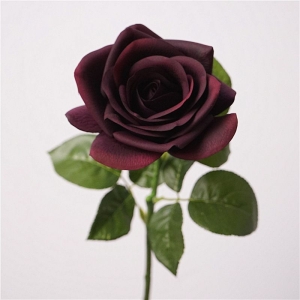 Multi-colored moisturizing rose