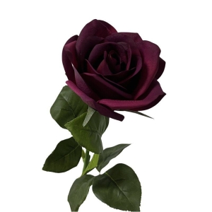 Multi-colored moisturizing rose wholesale
