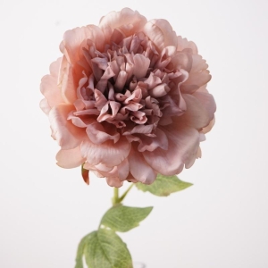 High-end moisturizing peony flower