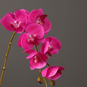 High-quality artificial orchids