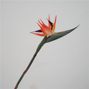 Wholesale of simulated bird of paradise