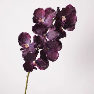 Simulated feel moisturizing Vanda orchid