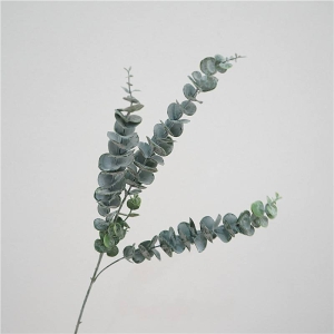 Simulated frost-covered eucalyptus