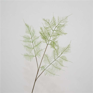 Artificial Asparagus setaceus