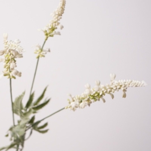 Fake lavender