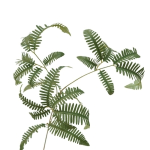 Artificial Dicranopteris Dichotoma