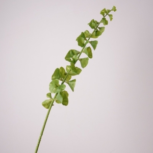 Artificial Moluccella Laevis