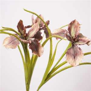 Artificial Iris Wholesale