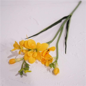 False Freesia