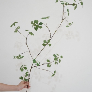 Simulated Guanyin Lotus Leaves Wholesale