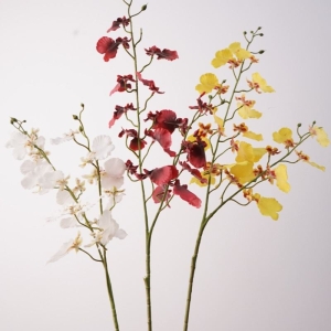 Double-forked False Dancing Orchid