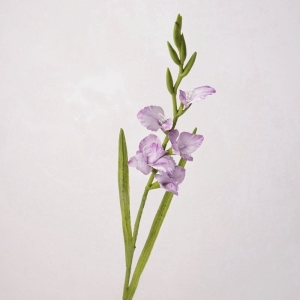 High-fidelity false gladiolus