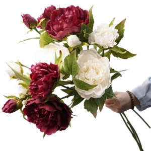 A realistic peony with three flowers