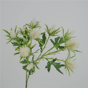 Fake Eryngium