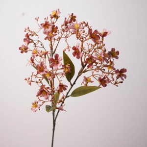 Simulated Daphne flowers