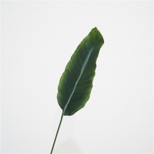 Simulated Bird of Paradise Leaves