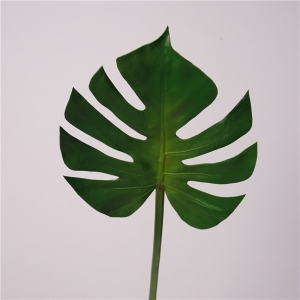Simulted  Monstera Leaf