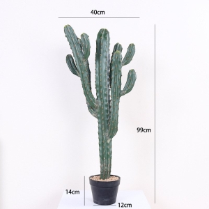 Faux Myrtillocactus geometrizans