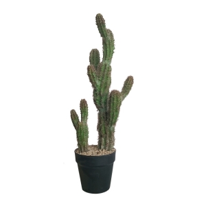 Artificial Spiny Clustered Cactus