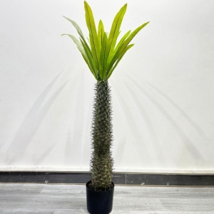 Faux Pachypodium Lamerei Potted