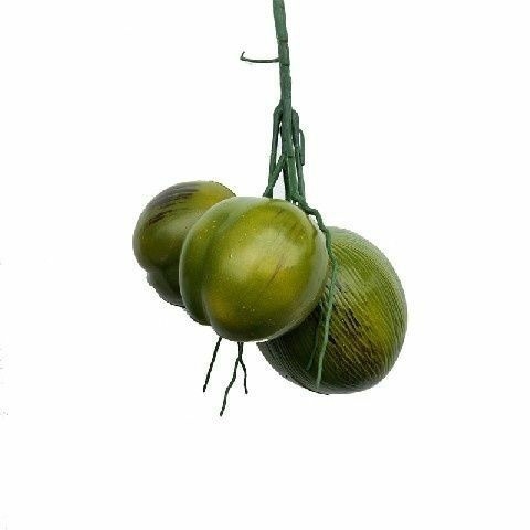 Artificial coconut