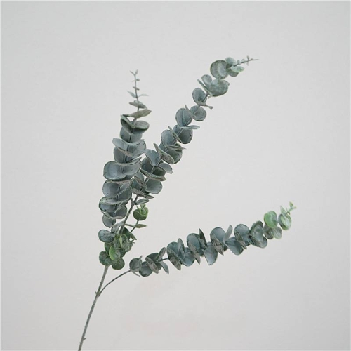 Simulated frost-covered eucalyptus