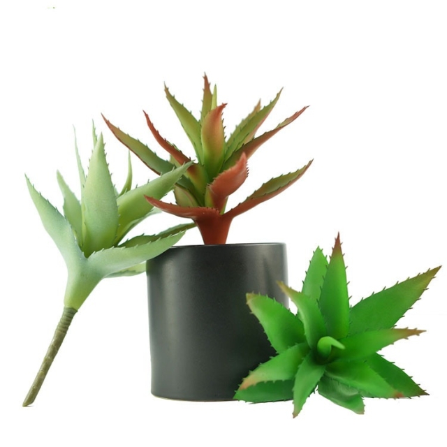Simulated Aloe Wholesale