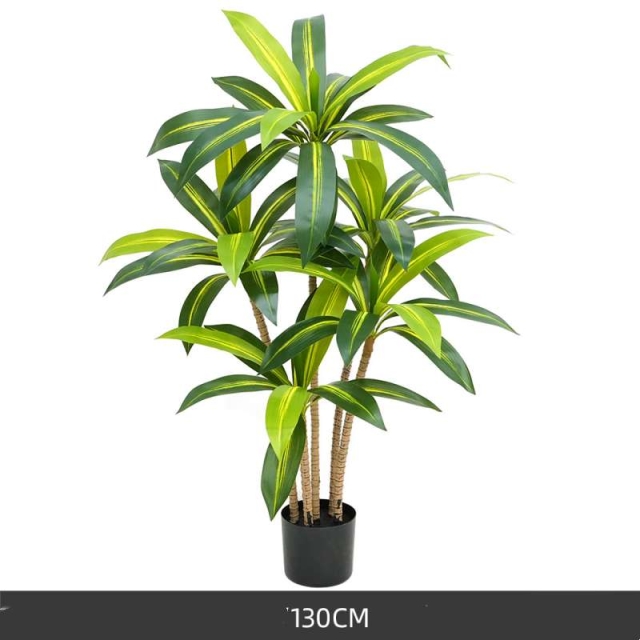 130 to 180cm Artificial Dracaena
