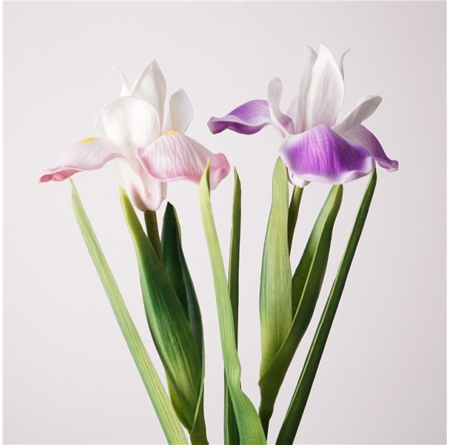 Realistic artificial iris
