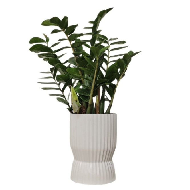 Wholesale of high-quality plastic flower pots