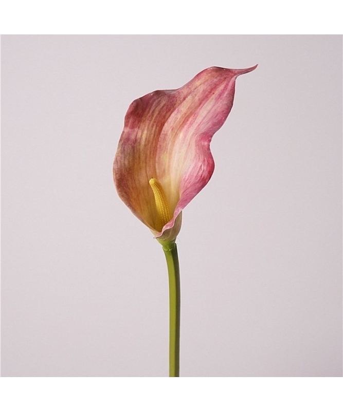 Large artificial calla lily