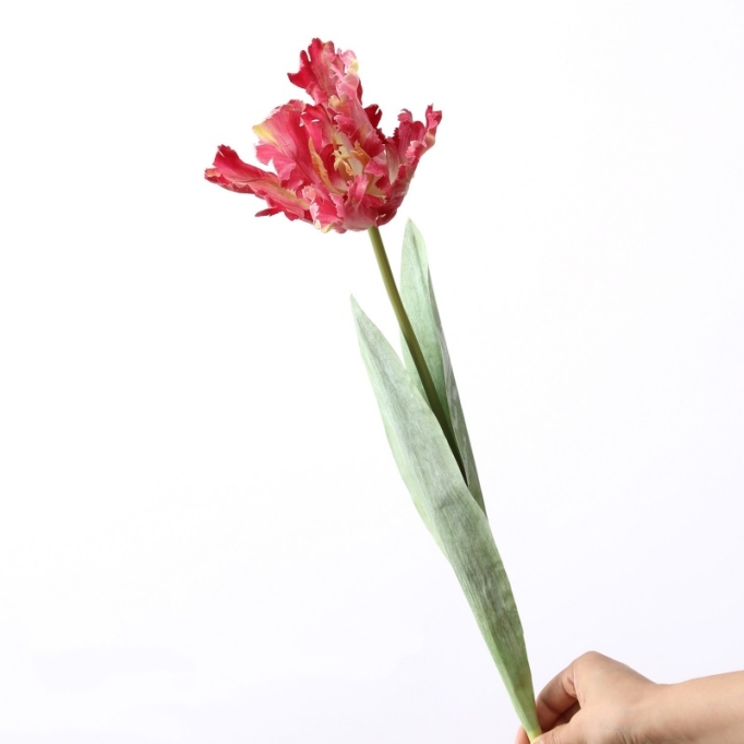 Simulated parrot tulip