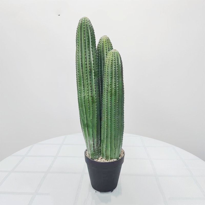Simulated bonsai containing three cacti