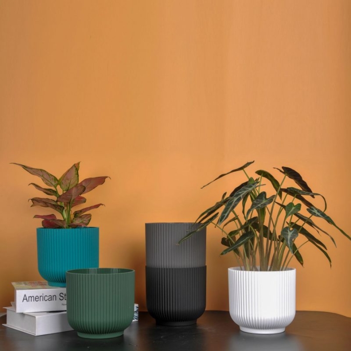 Multi-colored round flower pots without saucers