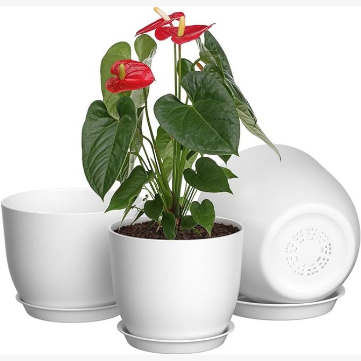 Plastic flower pot with drainage hole tray