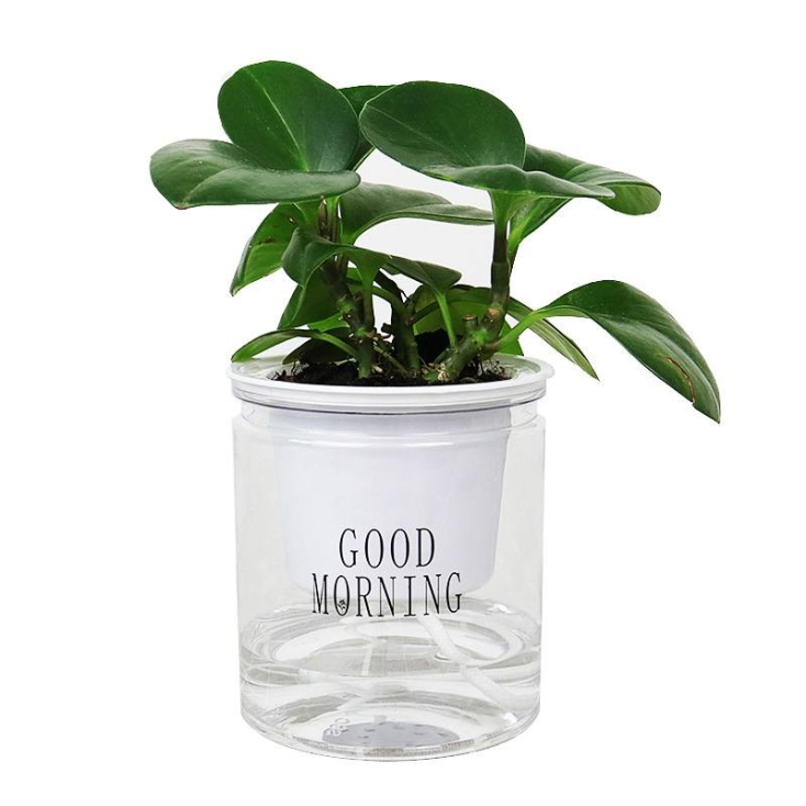 Transparent plastic flower pot with absorbent cotton rope