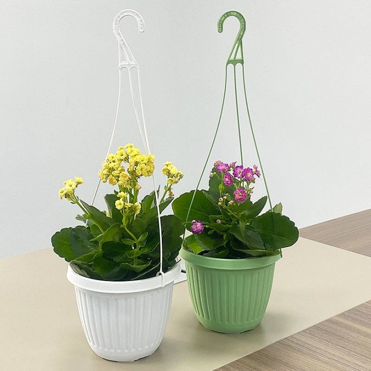 Plastic flower pots that can be hung up